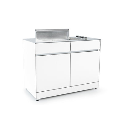 Module de gril à gaz Cuisine d'extérieur