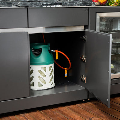 Module de gril à gaz Cuisine d'extérieur