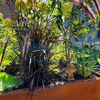 Parterre surélevé avec main courante en rouille noble