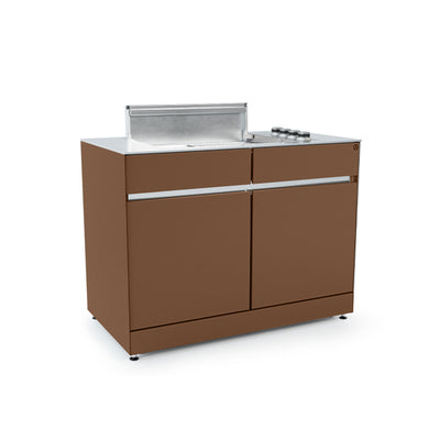 Module de gril à gaz Cuisine d'extérieur