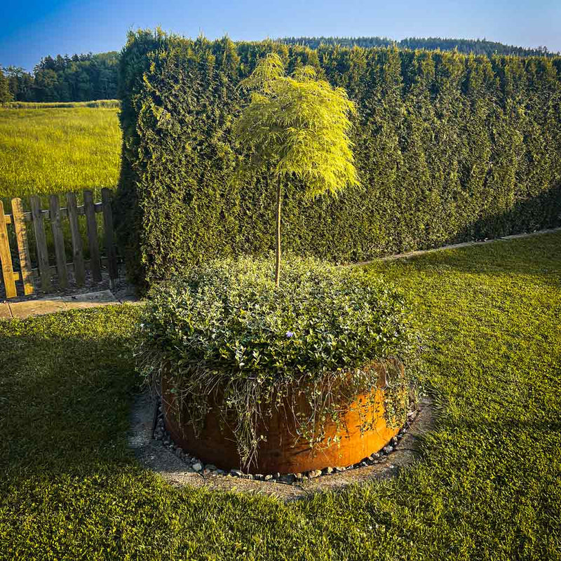 Pot à plantes rond sans fond 80x60cm, acier rouille noble